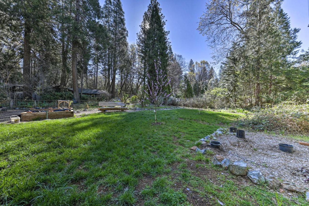 Peaceful Grass Valley Cottage With Bbq Grill And Yard! Buitenkant foto