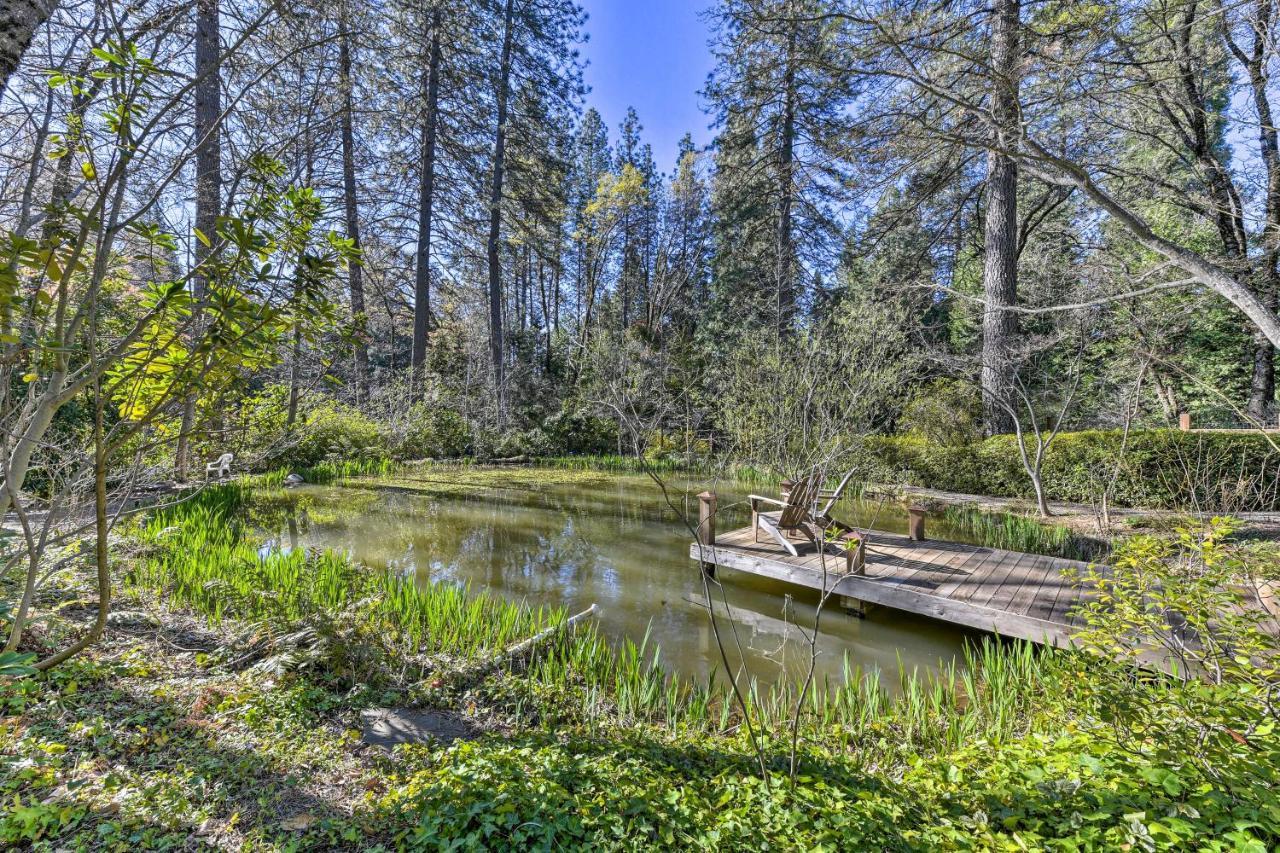 Peaceful Grass Valley Cottage With Bbq Grill And Yard! Buitenkant foto